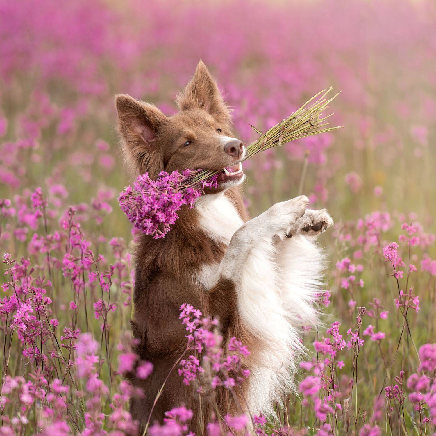 #nikon, Irina Kovaleva