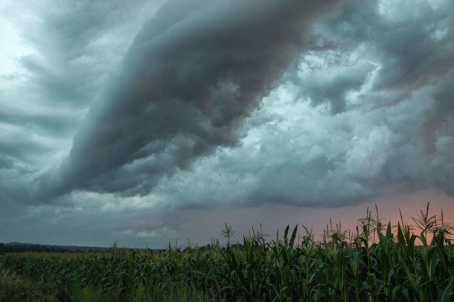 ,  Александр