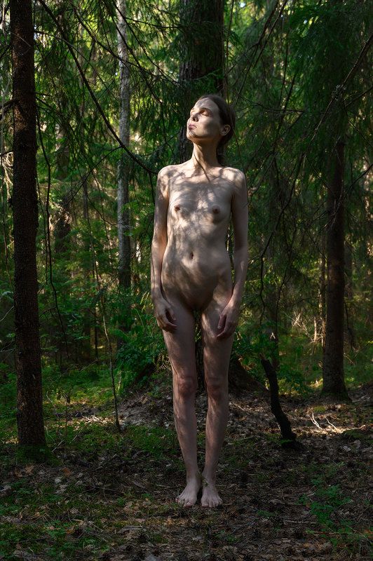 Deep Forest фото превью