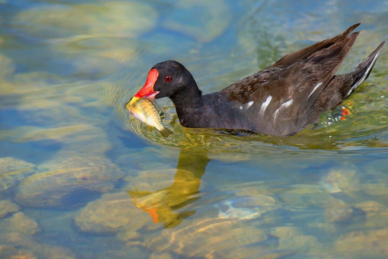 , Людмила Бекман