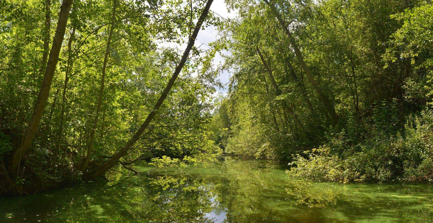 , Сергей Седов