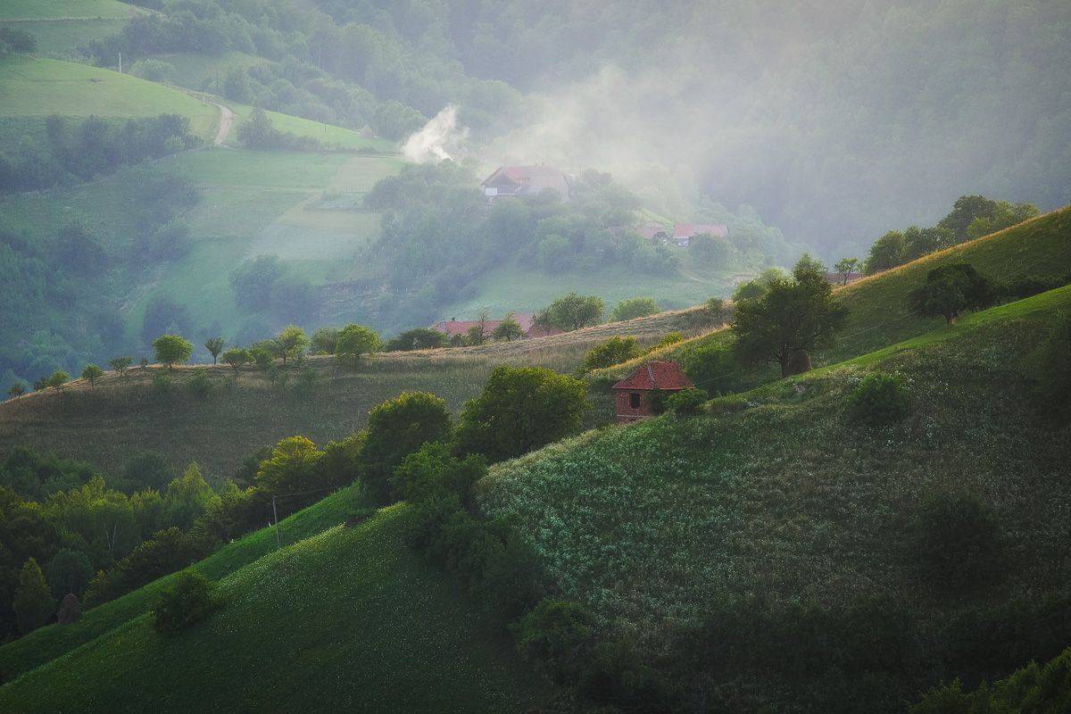 , Stefan Chirobocea