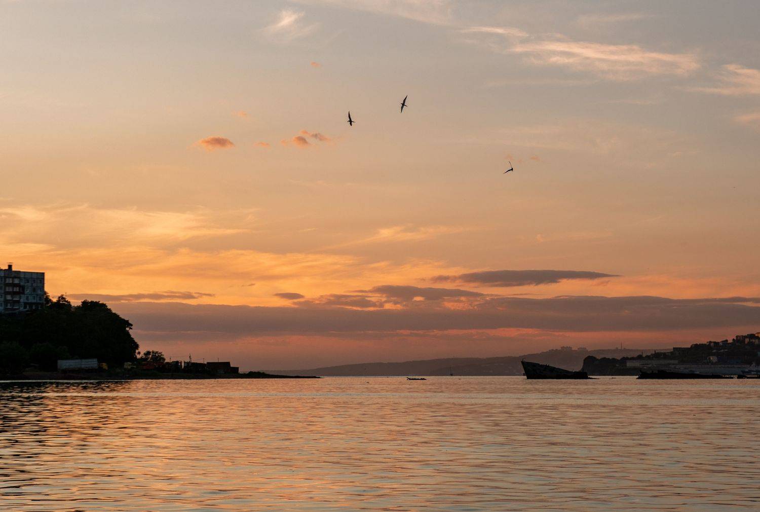 sunset, Наталья Королева