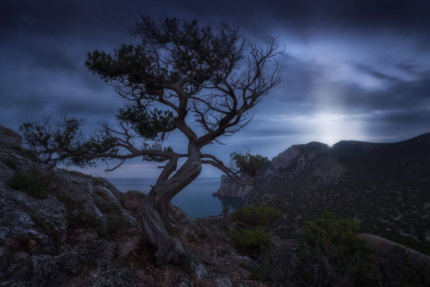 крым, новыйсвет, Владимир Ляпин