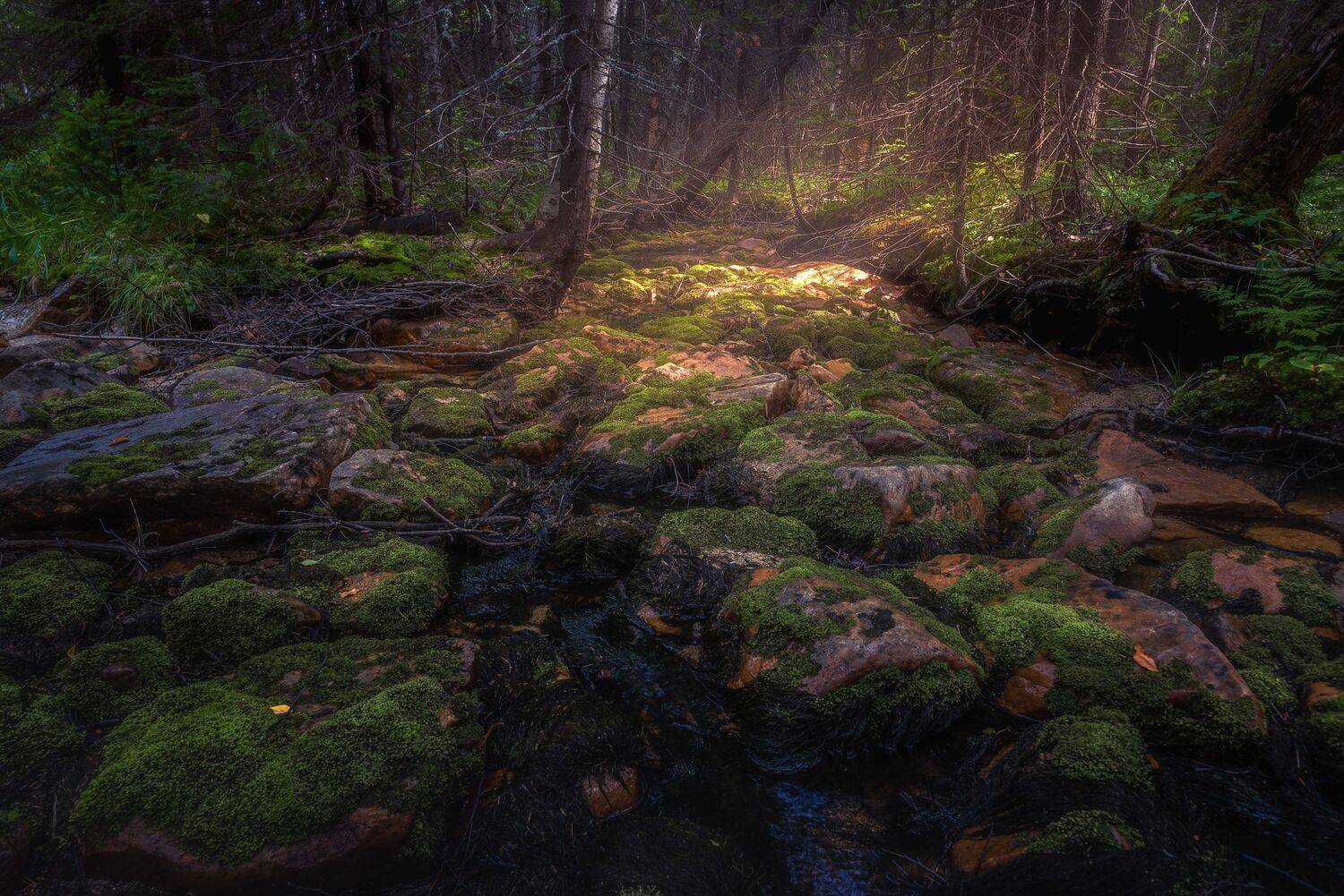 , Даниил Силантьев