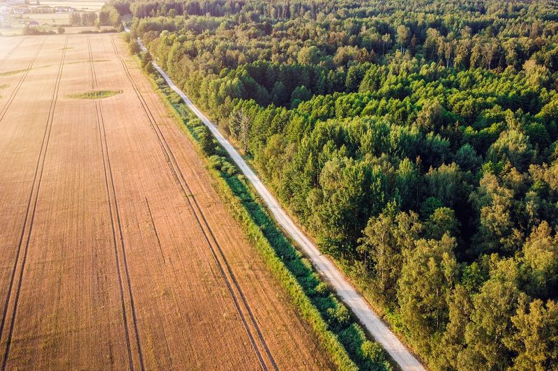природа, поле, лес, аэрофото, пейзаж Дорога в никуда фото превью