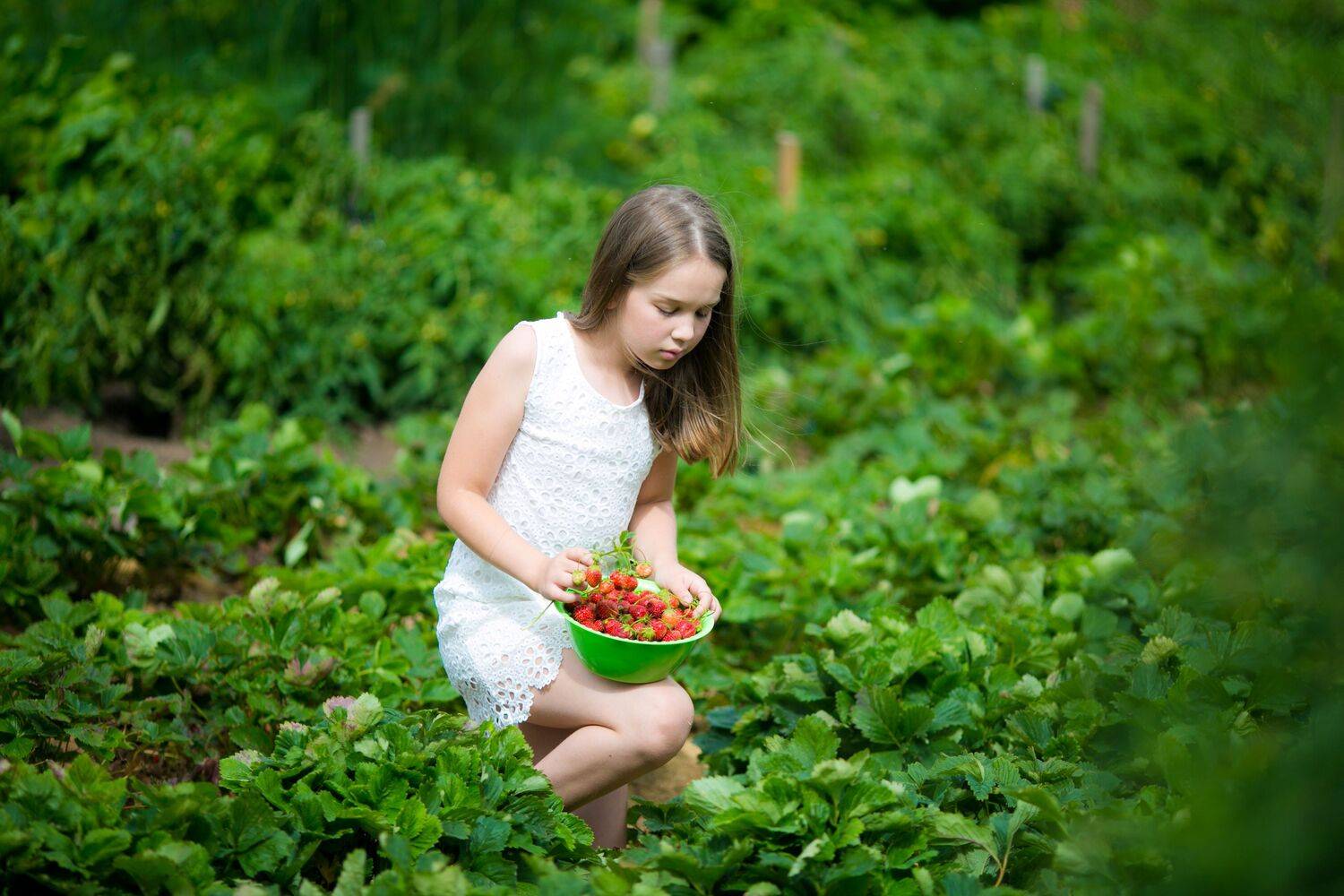 , Константин Буркин