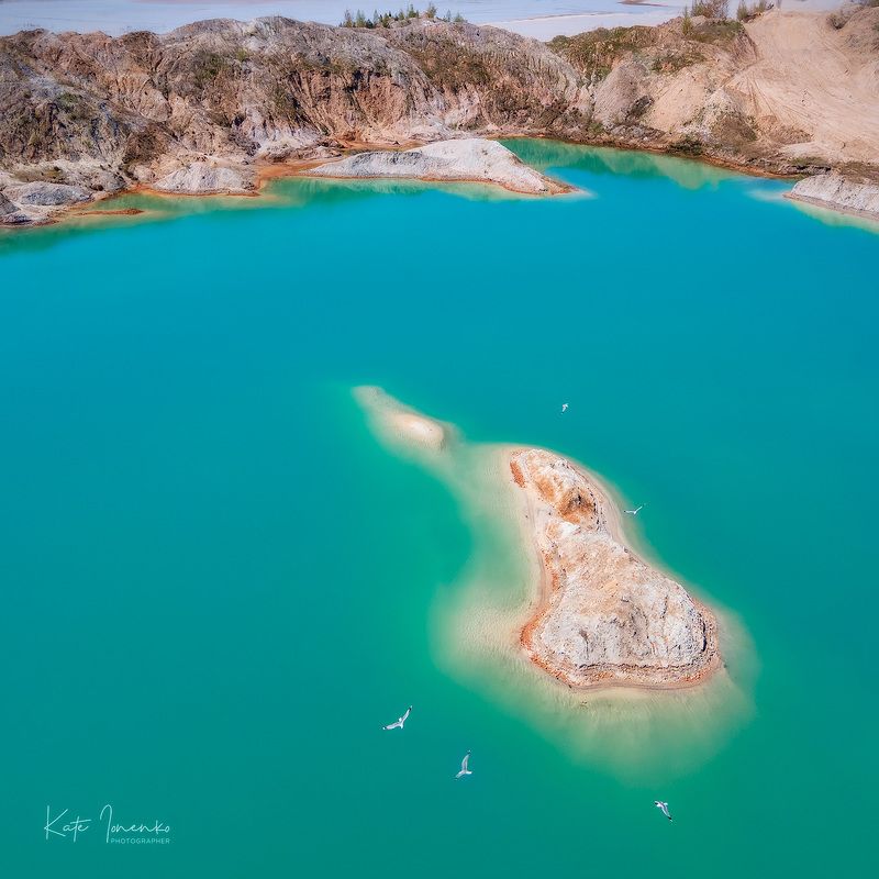 Остров чаек фото превью