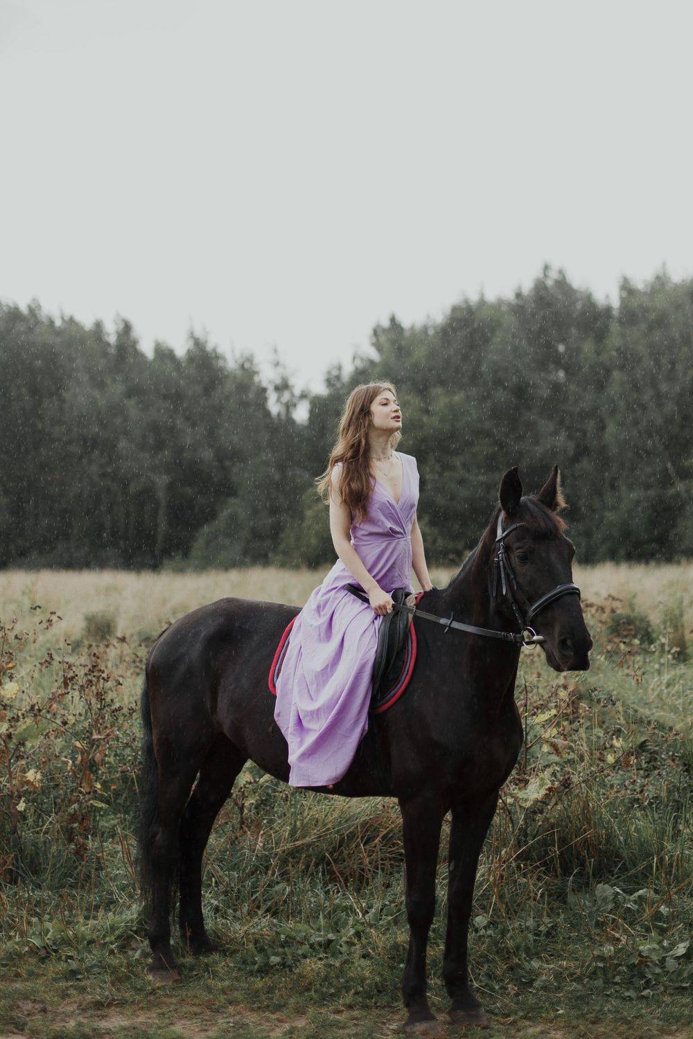 с Вороном. Автор: Marie Dashkova , Marie Dashkova