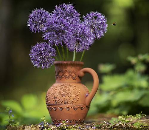 Сиреневые шары