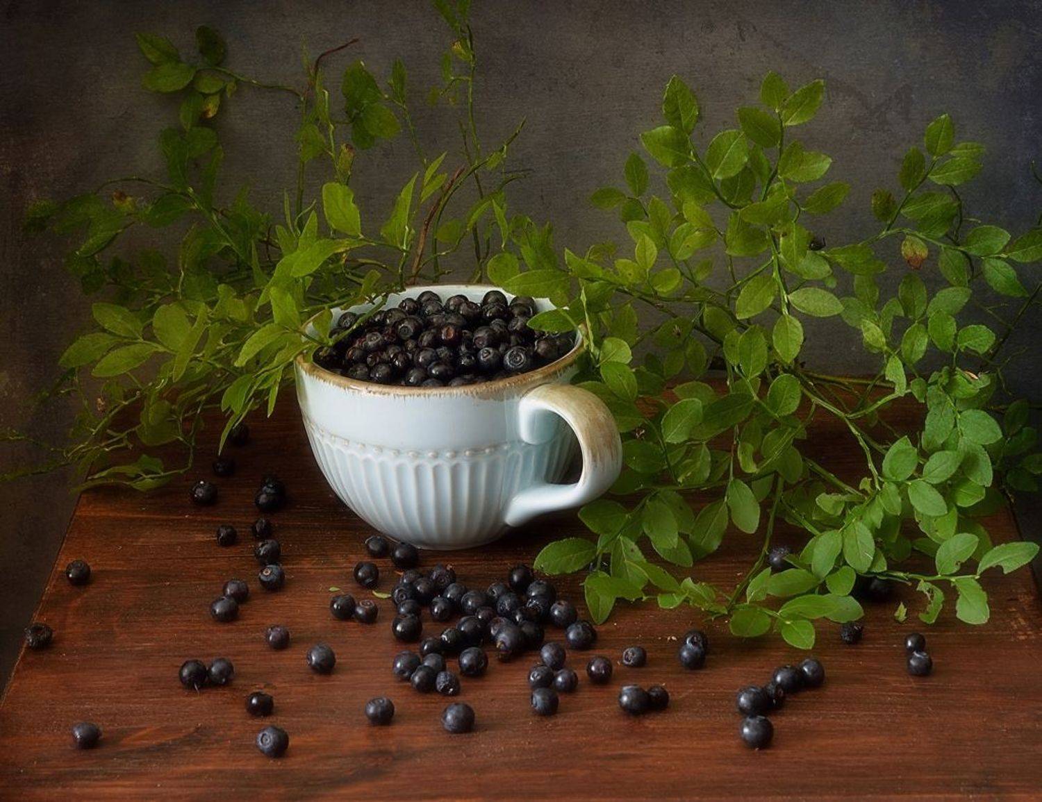 натюрморт,ягоды,лето,черника, Наталия К