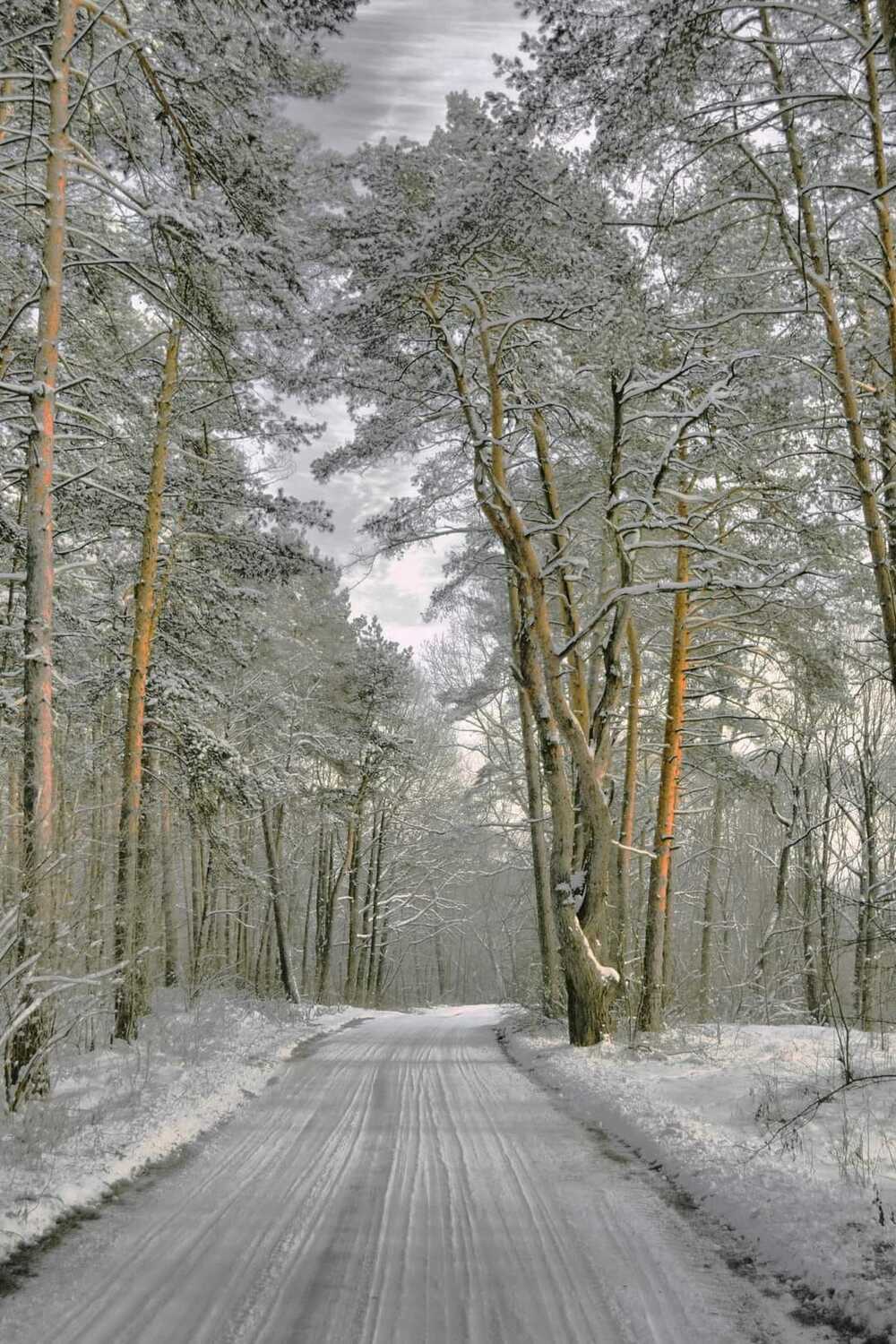 , Михаил Новиков