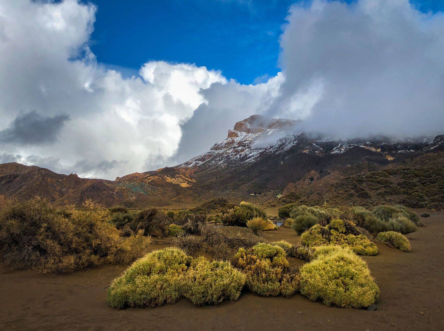 , Алекс Римский