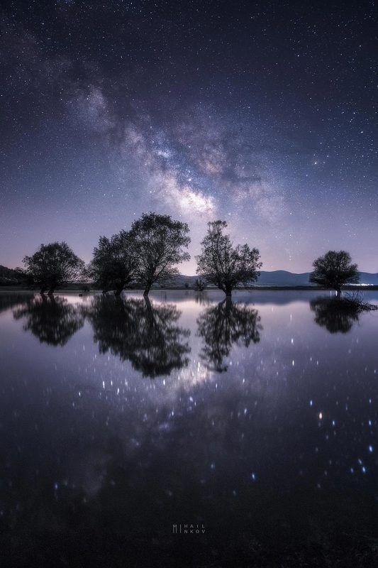 Reflections фото превью