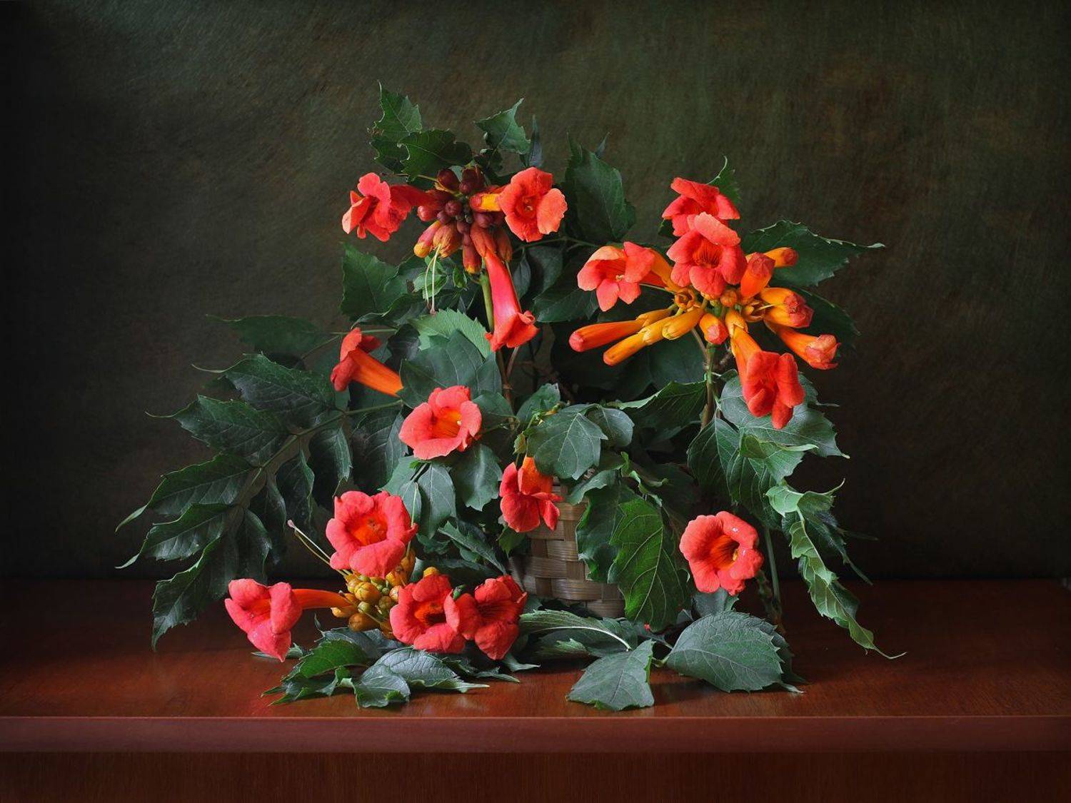 , Геннадий Петрущенко