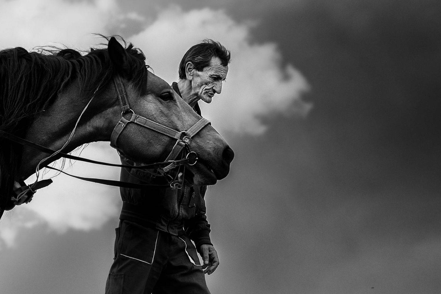 , Vladimir Karamazov