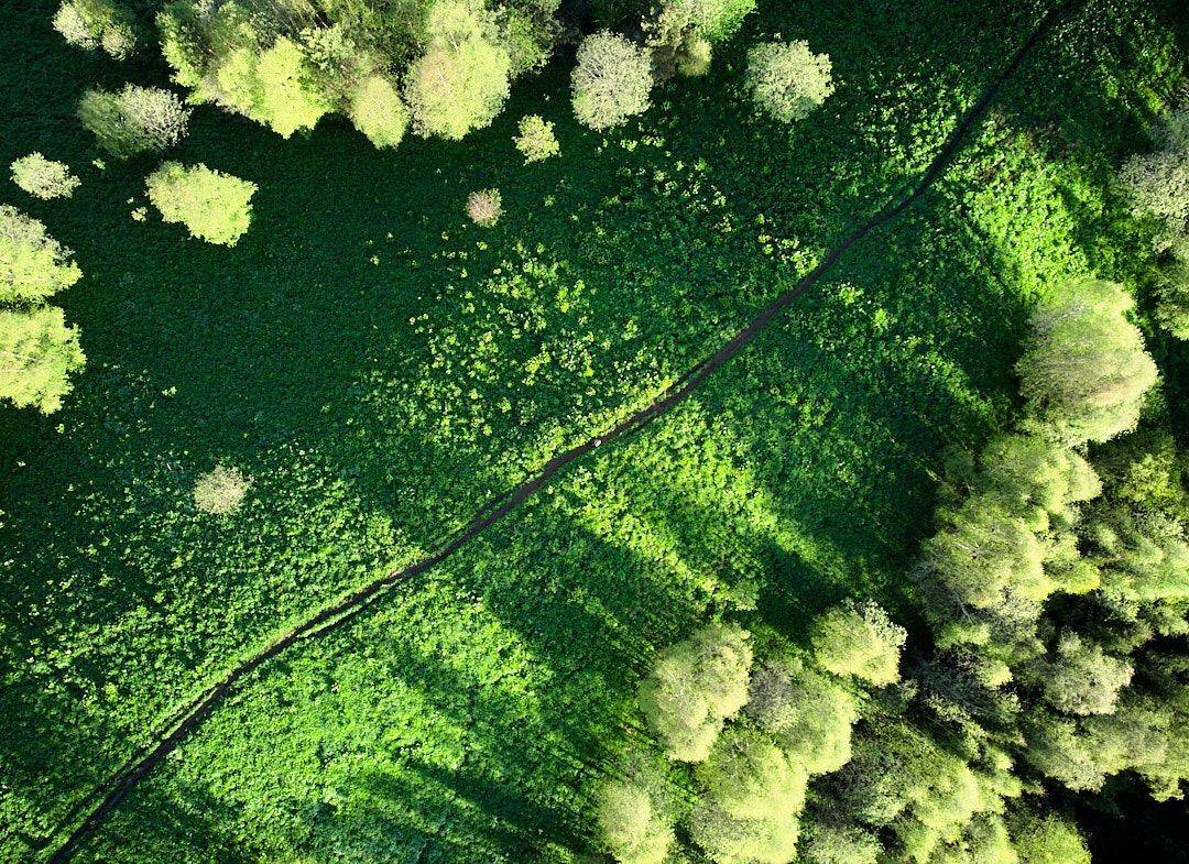 большой тхач, малый тхач, адыгея, пейзаж, берёзы, Артём Харченко