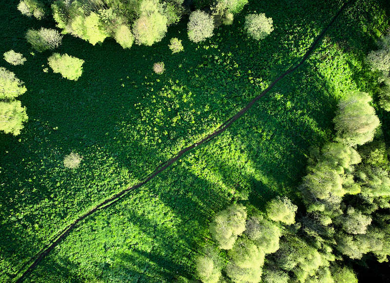 большой тхач, малый тхач, адыгея, пейзаж, берёзы Берёзки фото превью
