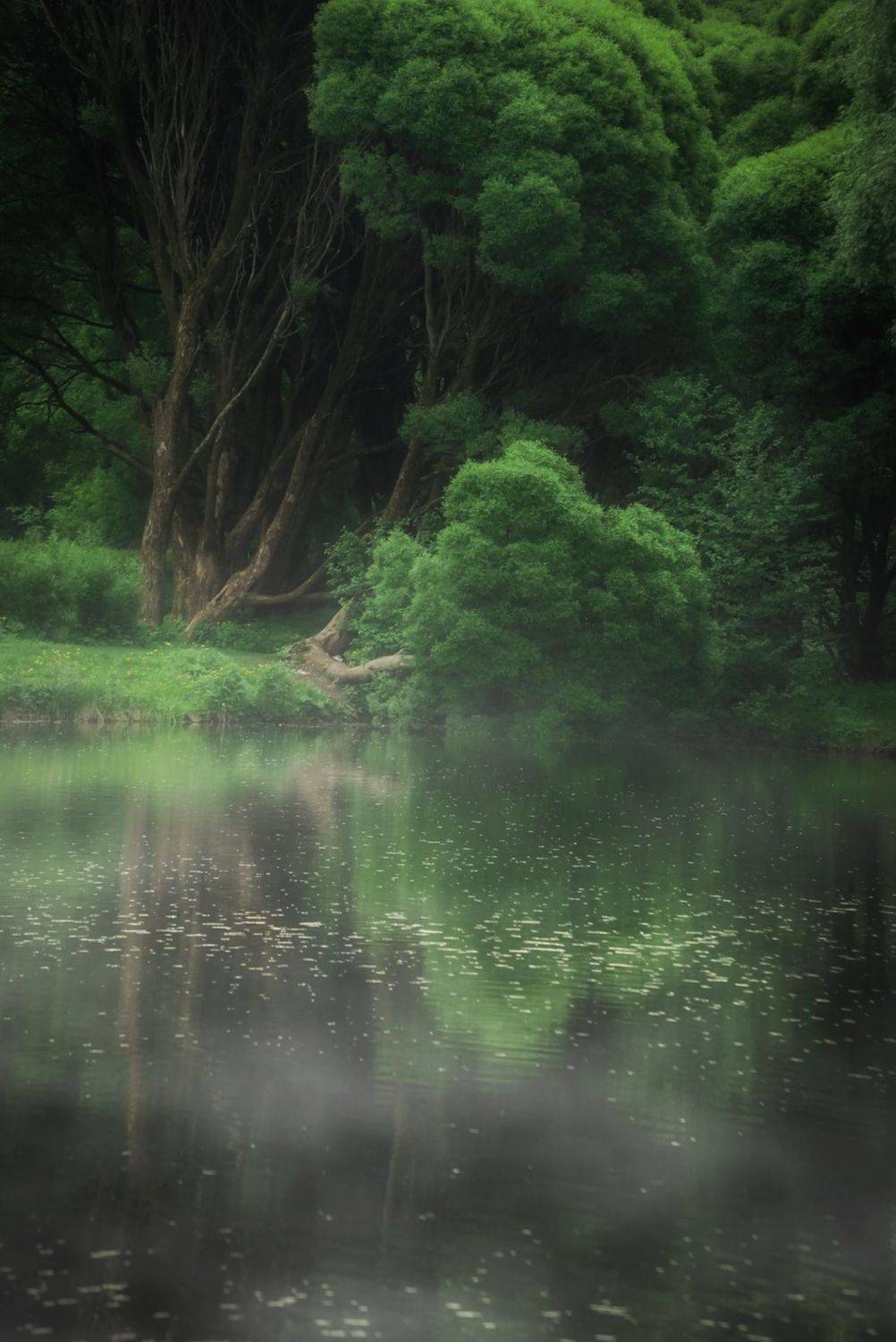 природа, nature, landscape, пейзаж, Julia Kaissa