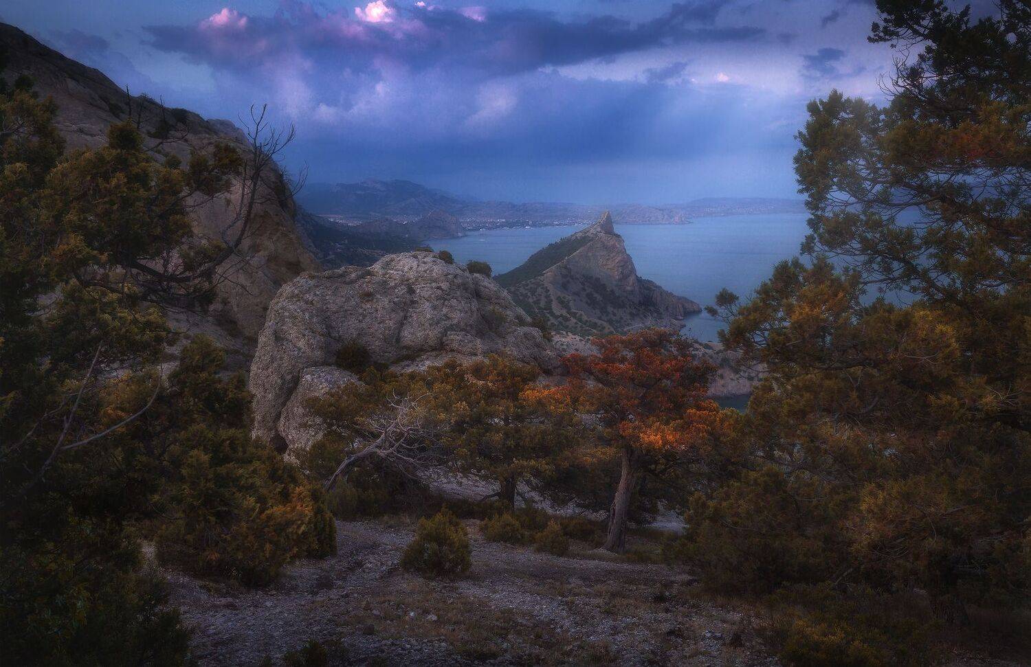 крым, новыйсвет, Владимир Ляпин