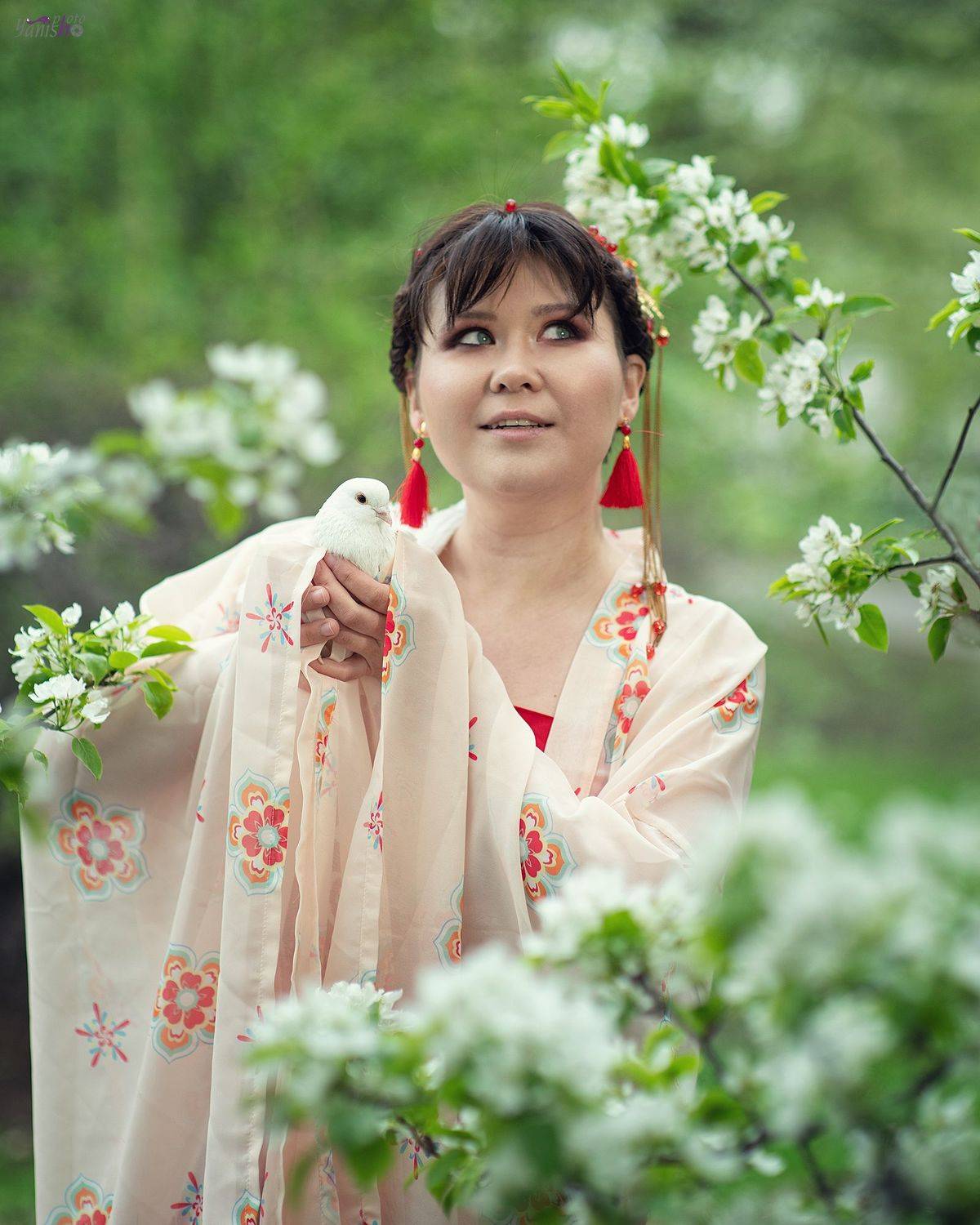 портрет, девушка, цветение, груша, Китай, голубь, Янина Ермакова