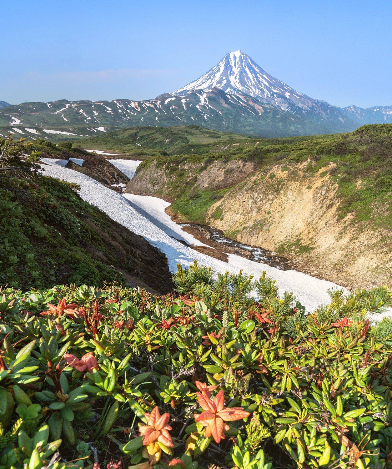 , Лариса Николаевна Дука