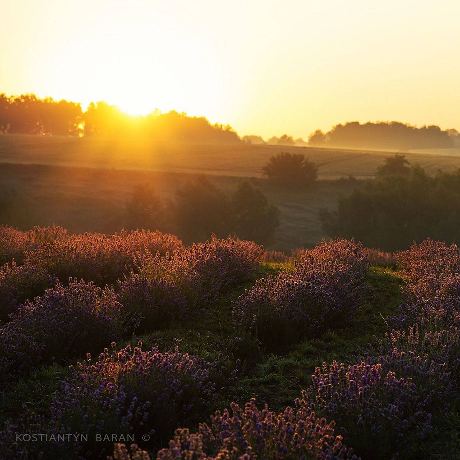 , Костянтин Баран