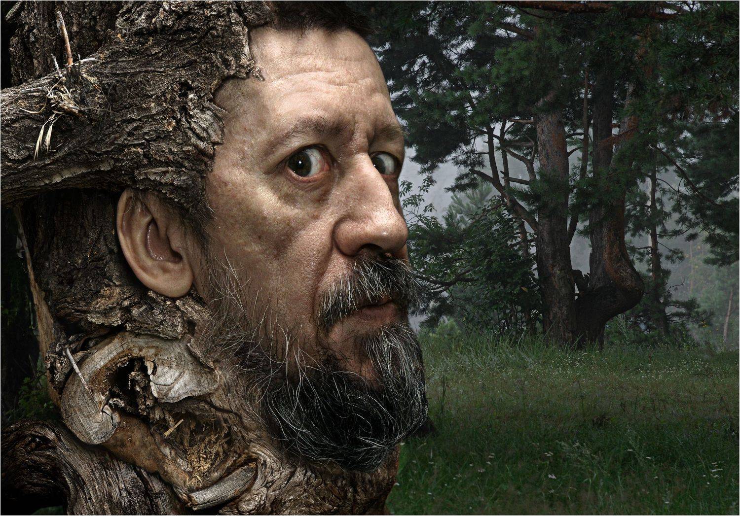 , Владимир Краснов