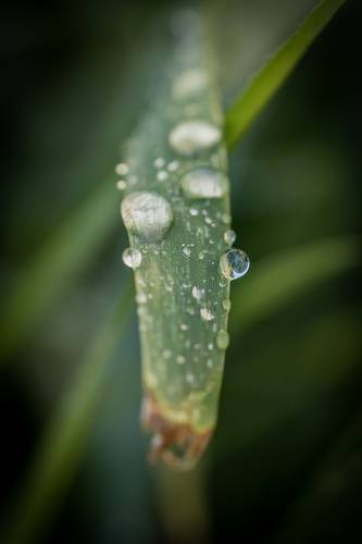 Droplets