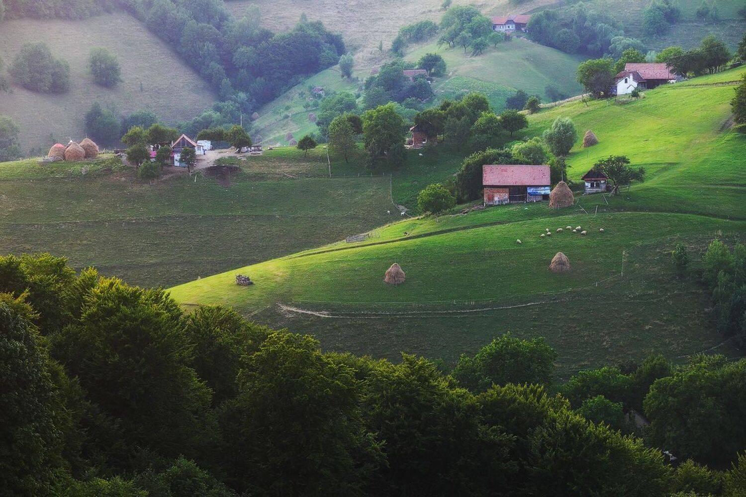 , Stefan Chirobocea