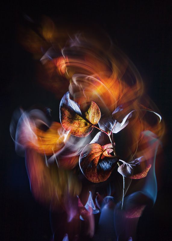 Закружило фото превью