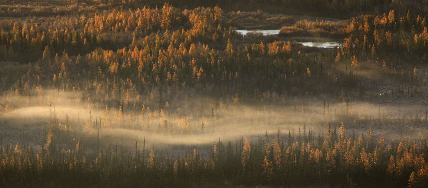 алтай, республика алтай, курай, курайская степь, Галина Хвостенко