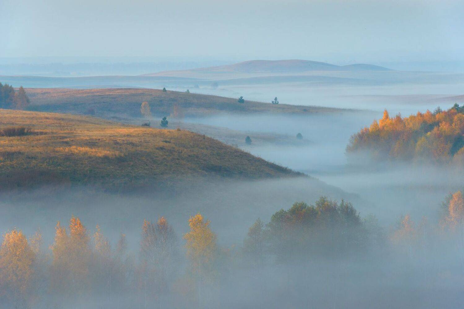 , Кутыгин Эдуард