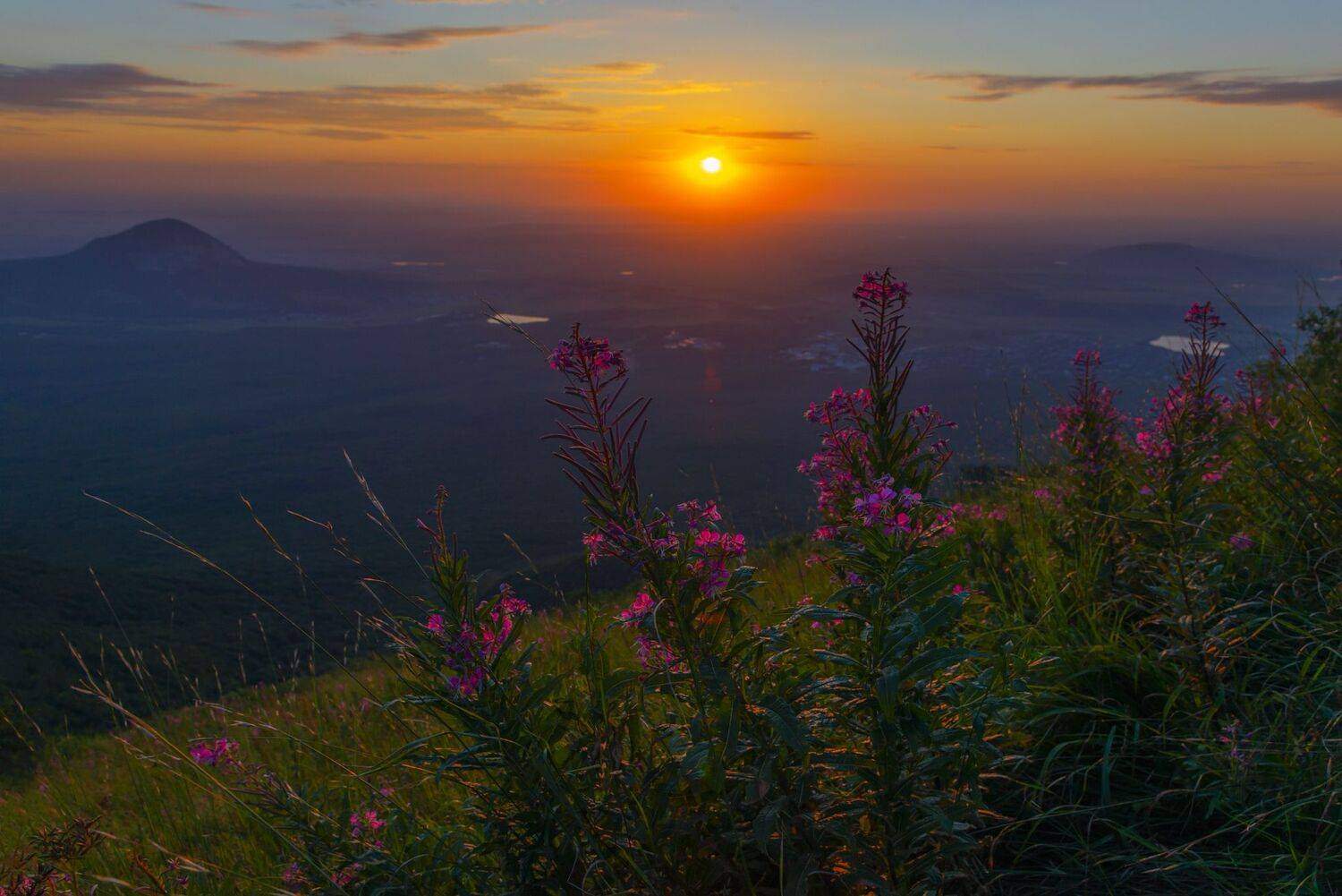 рассвет,бештау,иван-чай,природа, Елена Брежицкая