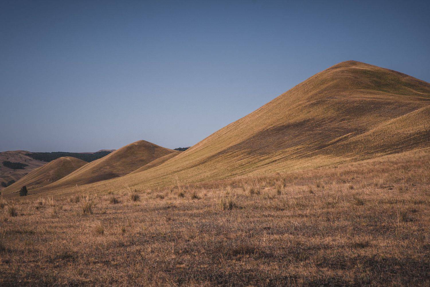 , Денис Храмеев