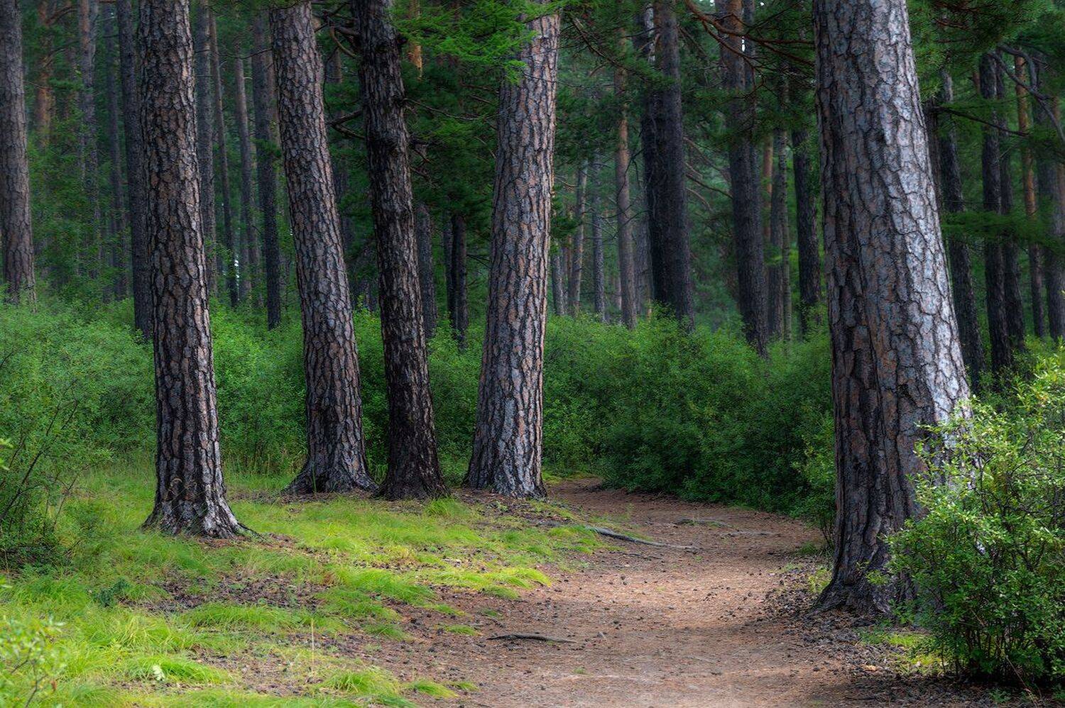 , Сергей Брагин