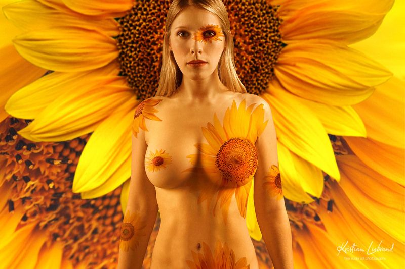 sunflower, nude, girl, blond, bodypaint, nude art, nudes, model, orange, yellow, creative, artwork sunflower and bean фото превью