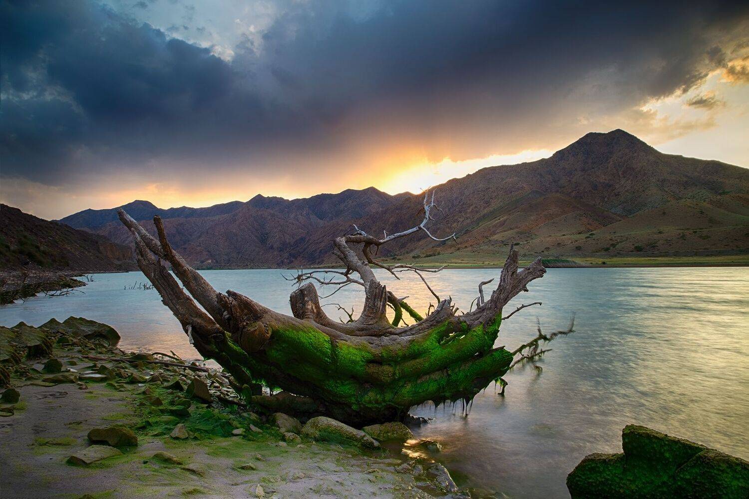 кыргызстан, горы, р.нарын, Элина Магалимова