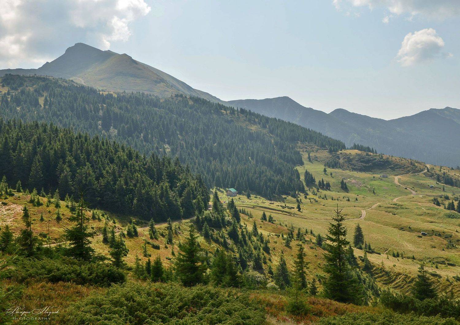 карпаты, мармаросы, гуцульские альпы, лето, полонина лысыча, Валерий Наумов