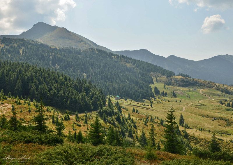 карпаты, мармаросы, гуцульские альпы, лето, полонина лысыча Мармаросы фото превью