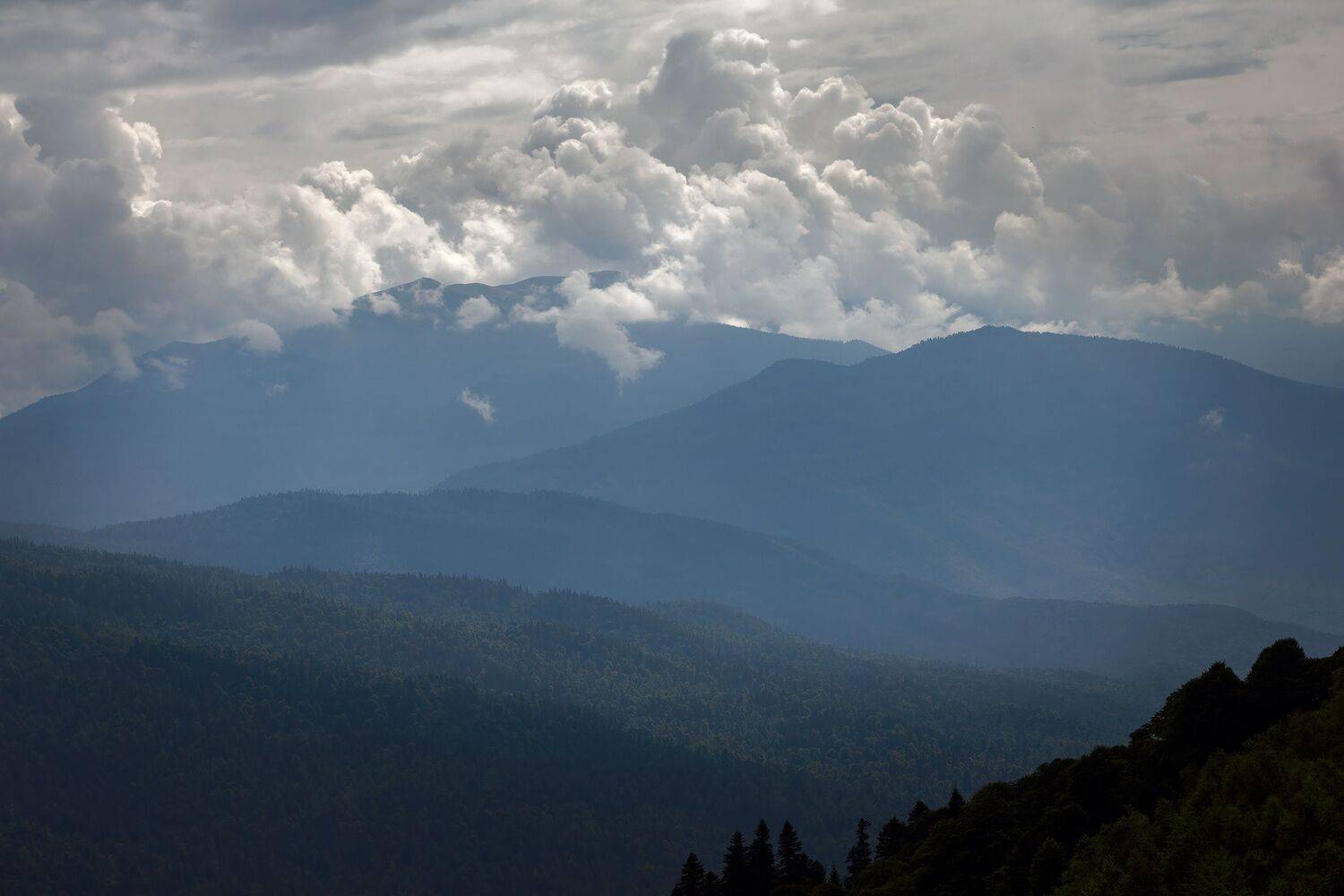 горы, Алексей Рыльский
