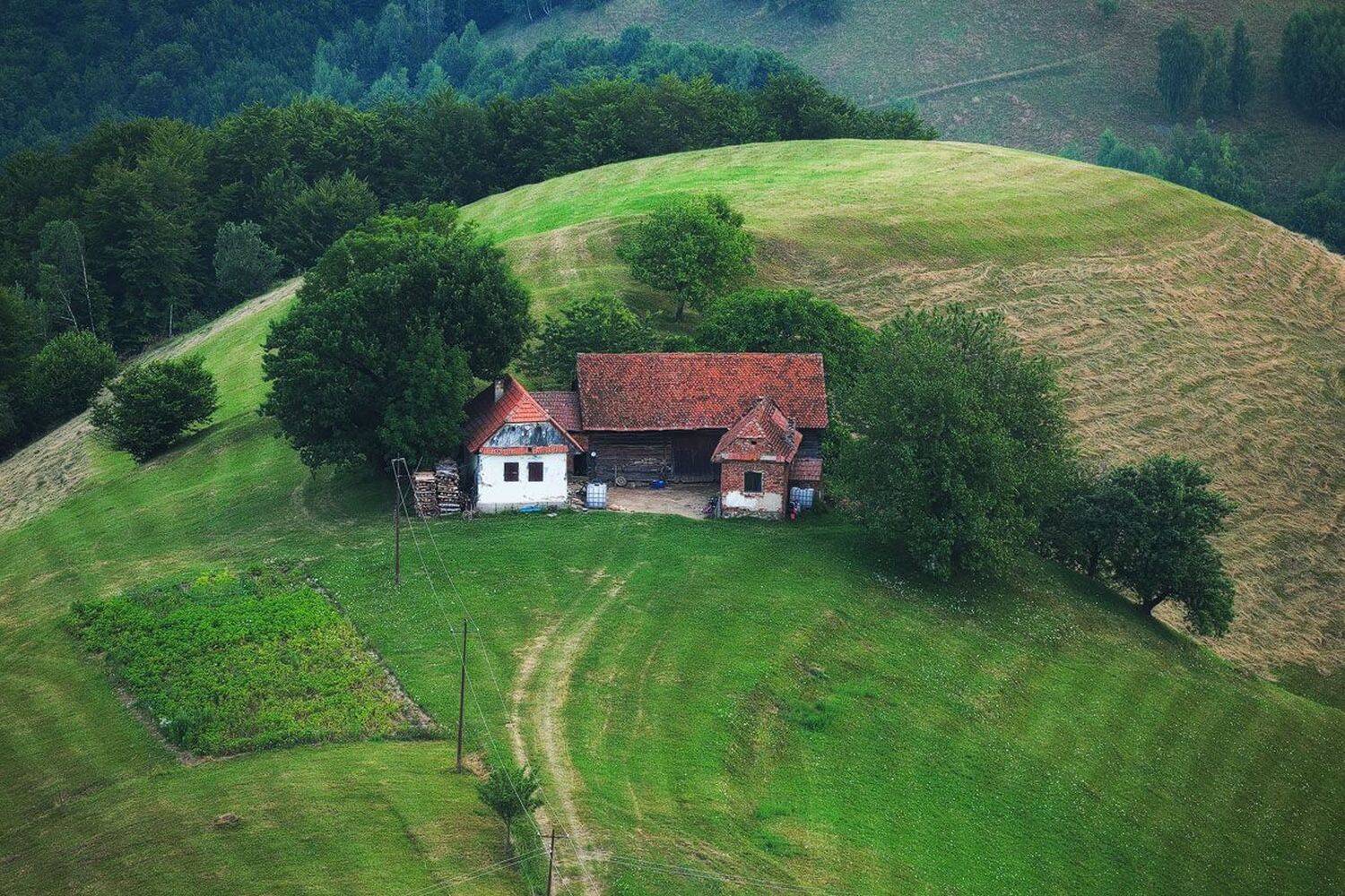 , Stefan Chirobocea