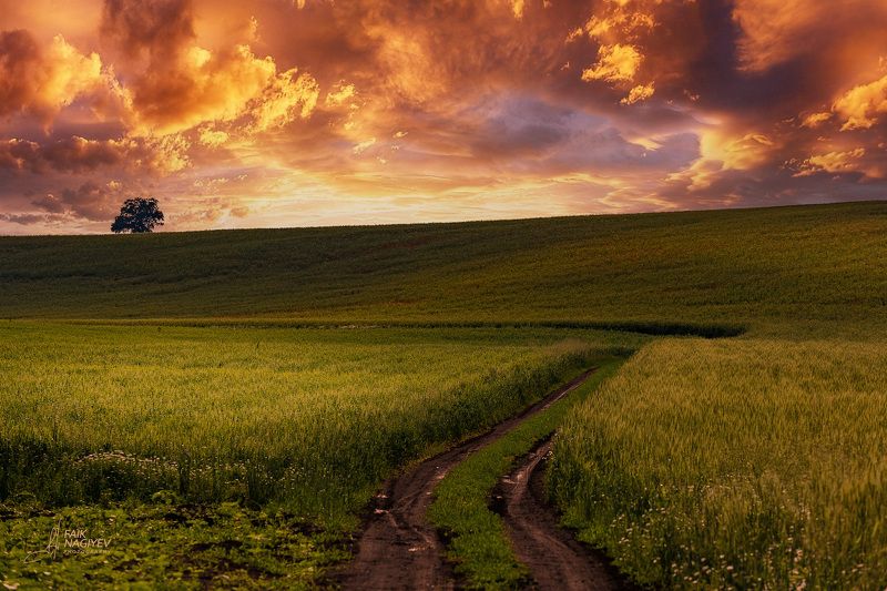 На земле спокойно, на небесах нет фото превью