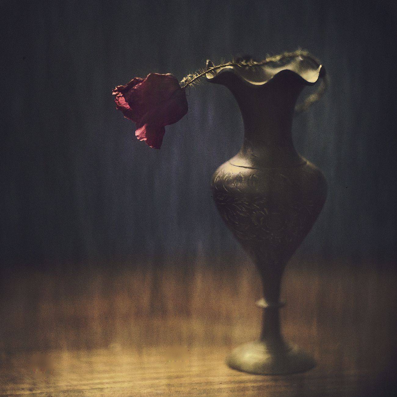 , Татьяна Аверина