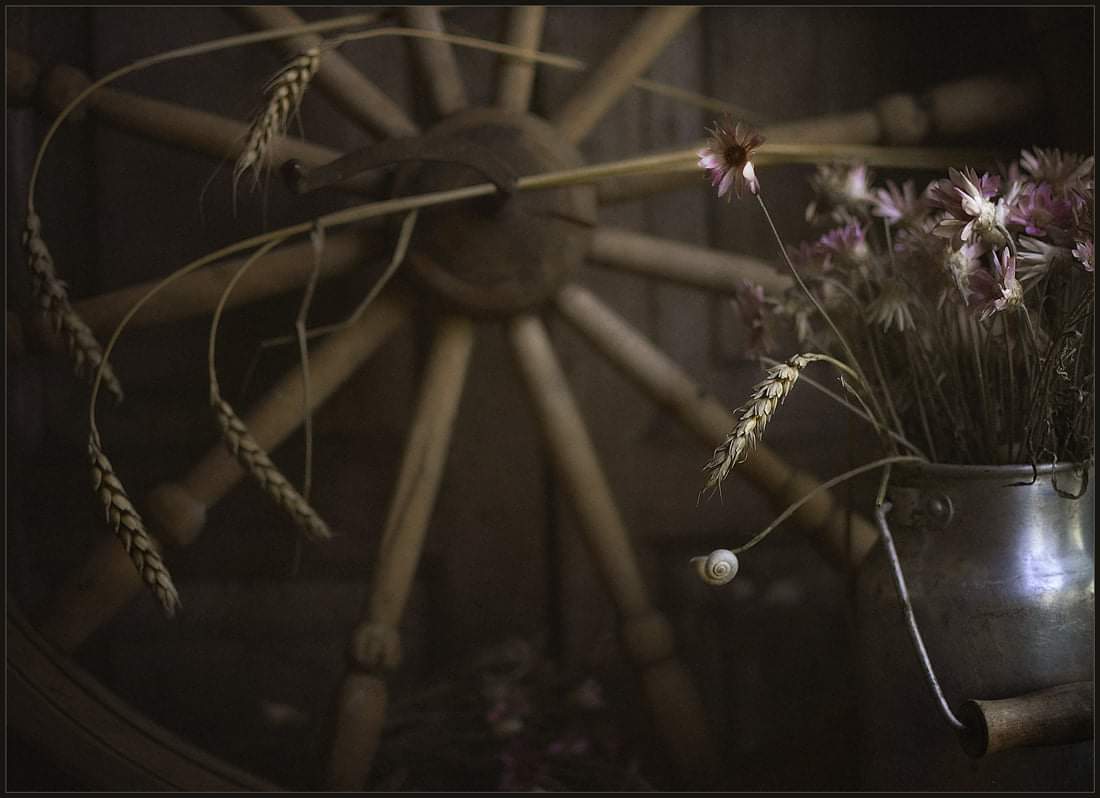 , Александр Хромеев