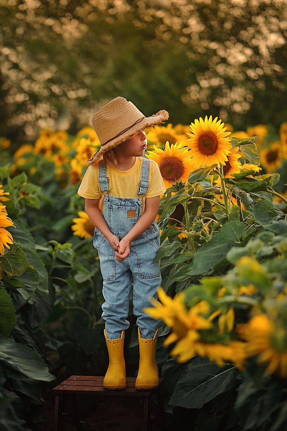 , Ксения Лысенкова