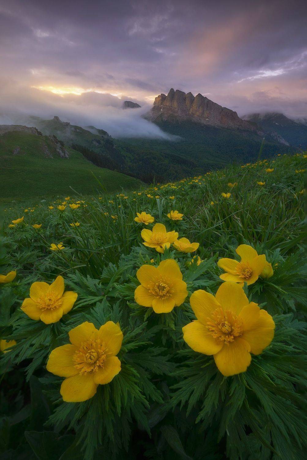 горы, закат, пейзаж, кавказ, ачешбоки, Александр Дударев