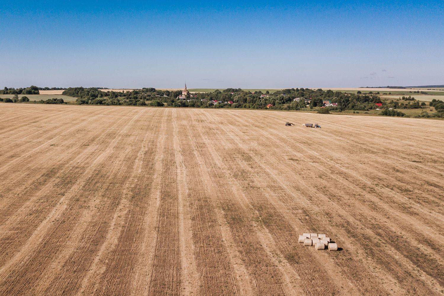 Суздаль, поля, пшеница, дрон, Элина Хван