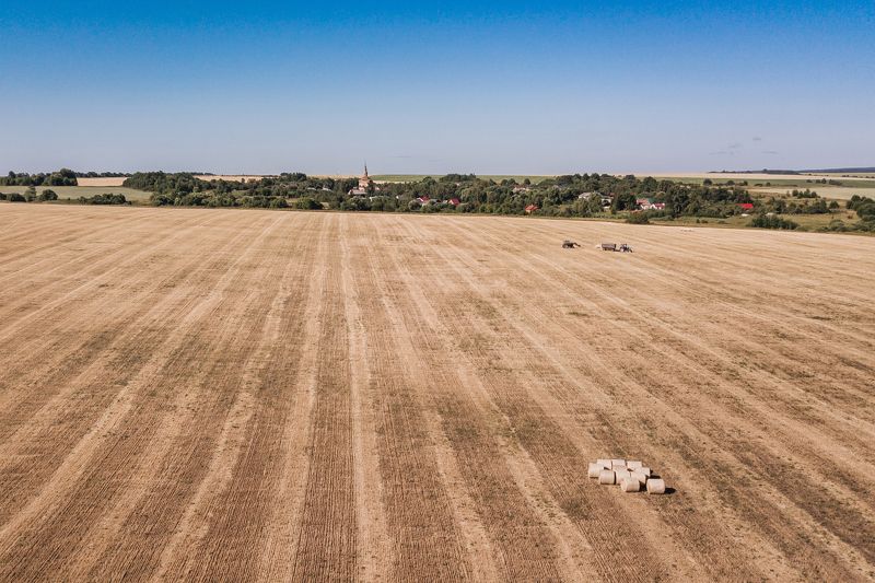 Суздаль, поля, пшеница, дрон Просторы Суздаля фото превью