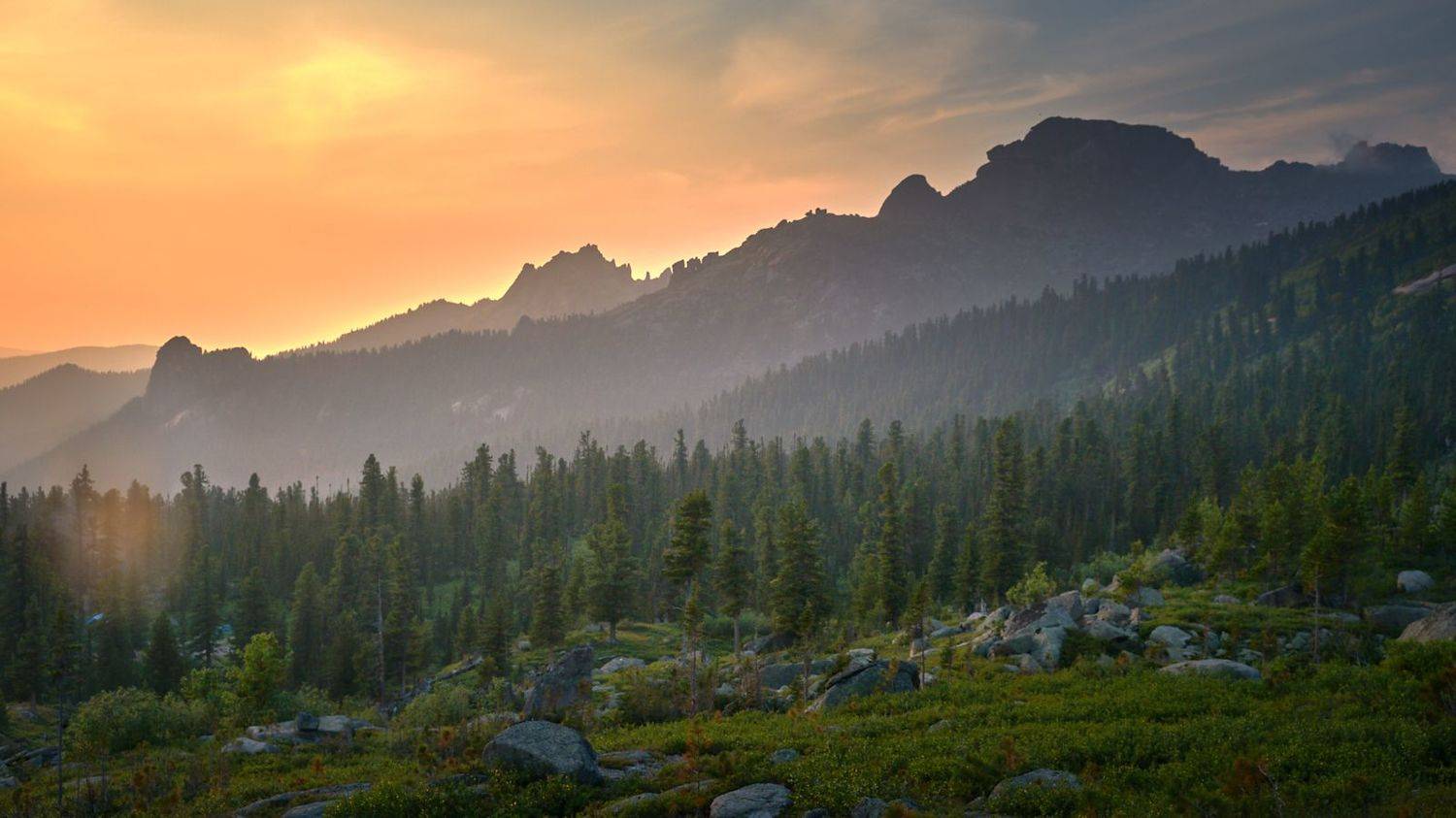 , Сергей Межин